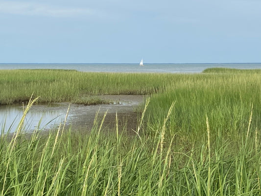 Summer in Massachusetts: 10 Coastal Favorites from Our Family to Yours