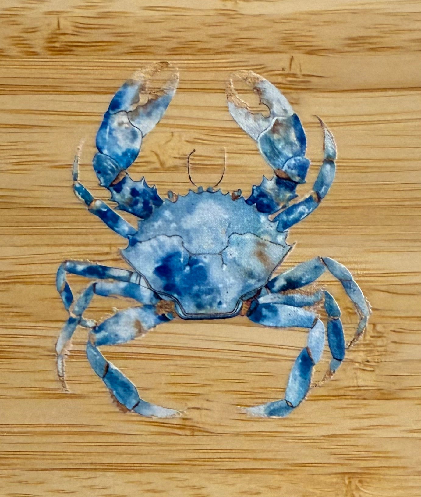 Coastal Bamboo Cheese Slicers